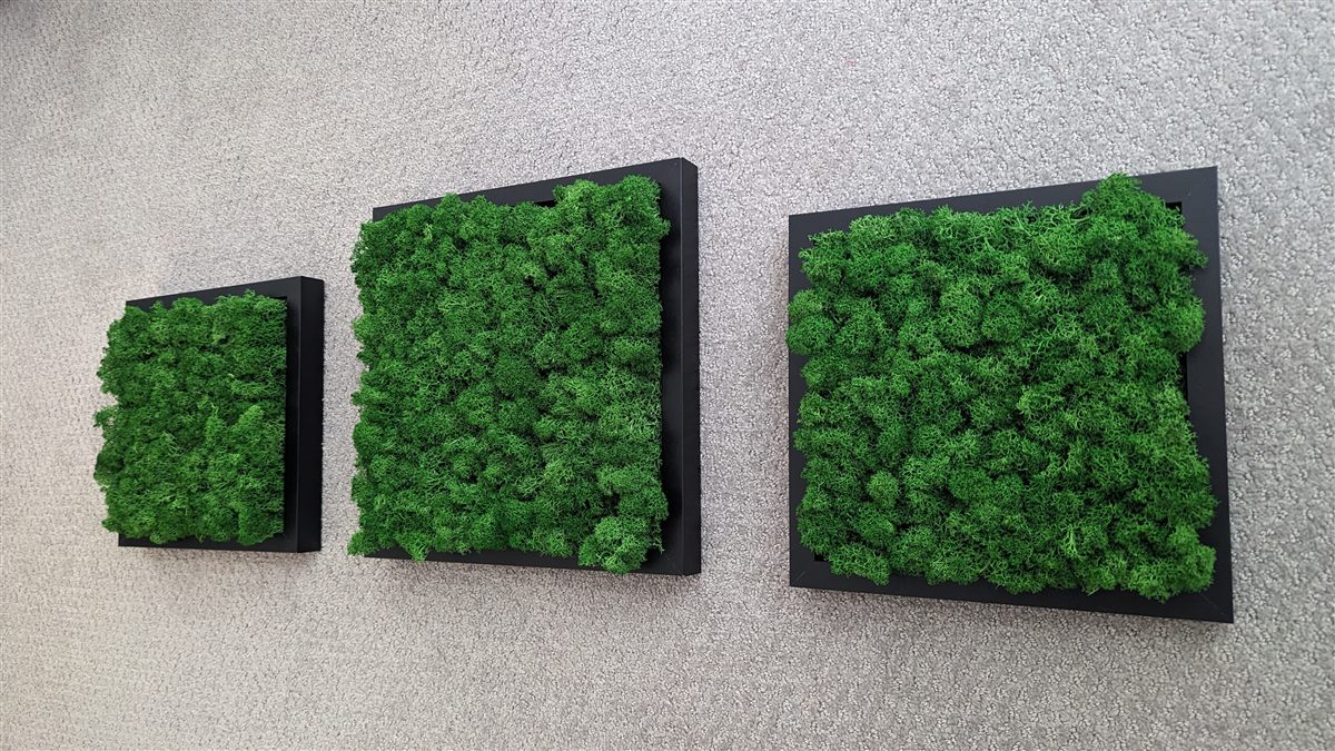 Decorative green wall installation